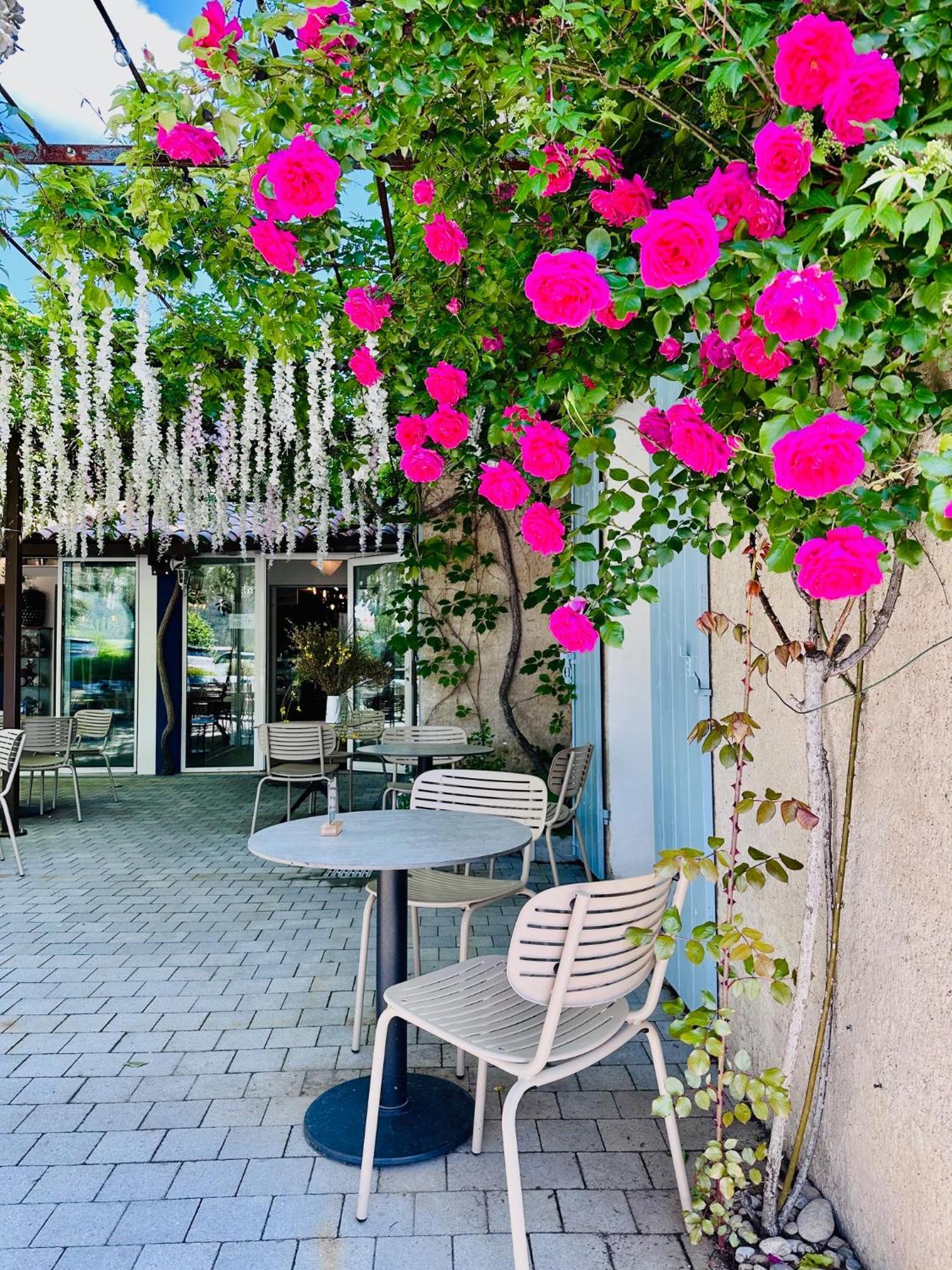 Hotel Le Provence - Restaurant Le Styx La Palud-sur-Verdon المظهر الخارجي الصورة